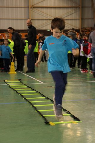 Toul 23-01-2016