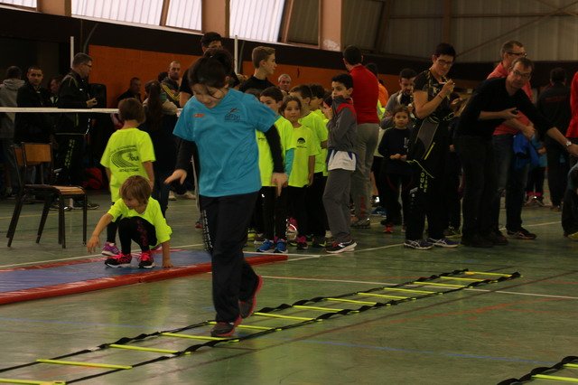 Toul 23-01-2016