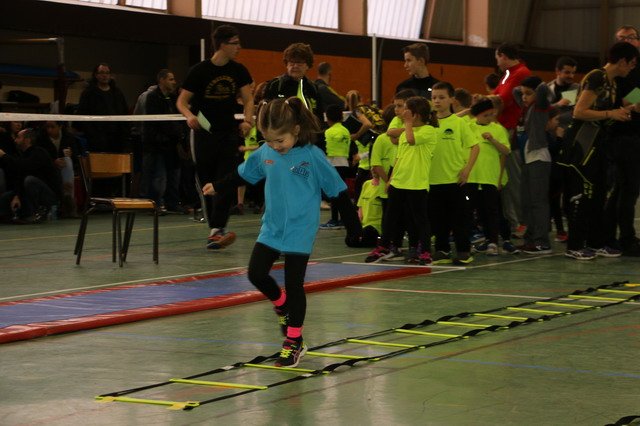 Toul 23-01-2016