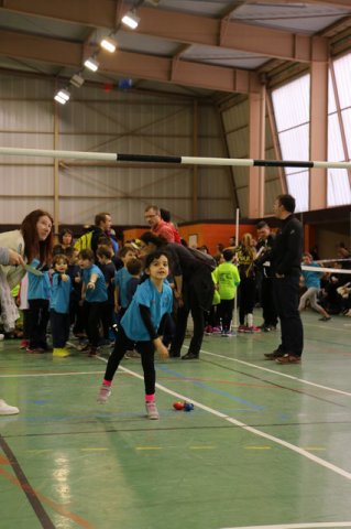 Toul 23-01-2016