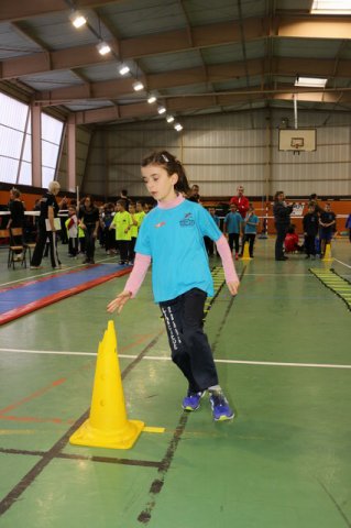 Toul 23-01-2016