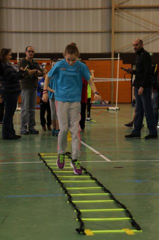 Toul 23-01-2016