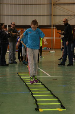 Toul 23-01-2016