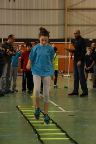 Toul 23-01-2016