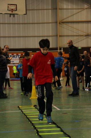 Toul 23-01-2016
