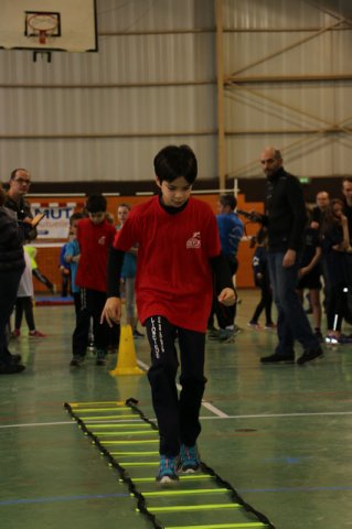 Toul 23-01-2016