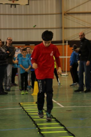 Toul 23-01-2016