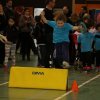 Toul 23-01-2016