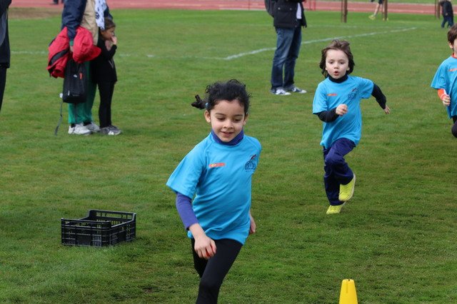 2016-04-02-Champi