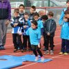 2016-04-02-Champi