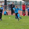 2016-04-02-Champi