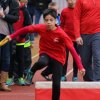 2016-04-02-Champi