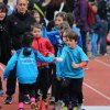 2016-04-02-Champi