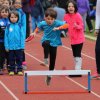 2016-04-02-Champi