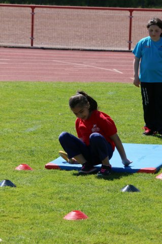 2016-05-05-Champi