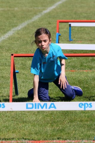 2016-05-05-Champi