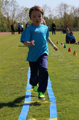 2016-05-05-Champi