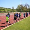 2016-05-05-Champi