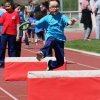 2016-05-05-Champi