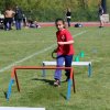 2016-05-05-Champi