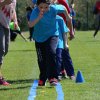 2016-05-05-Champi