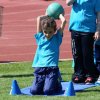 2016-05-05-Champi
