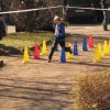 2015-02-28-PAMC