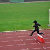 2015-04-04-Champi