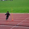 2015-04-04-Champi