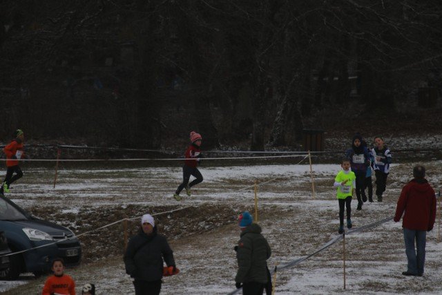 2017-01-08-Cross-Pompey