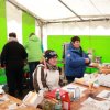 2017-01-08-Cross-Pompey