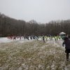 2017-01-08-Cross-Pompey