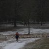 2017-01-08-Cross-Pompey